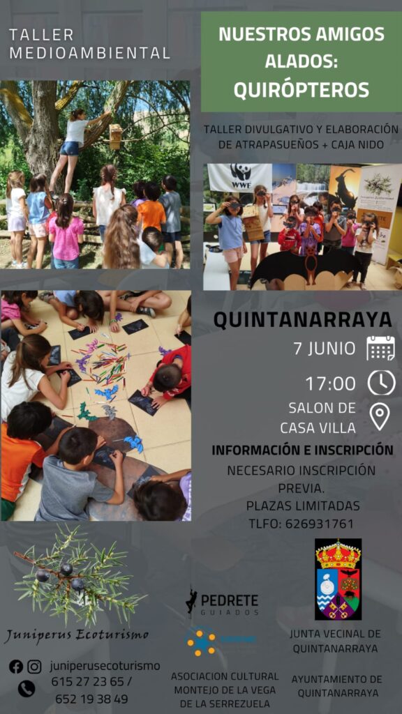 Taller sobre Murciélagos