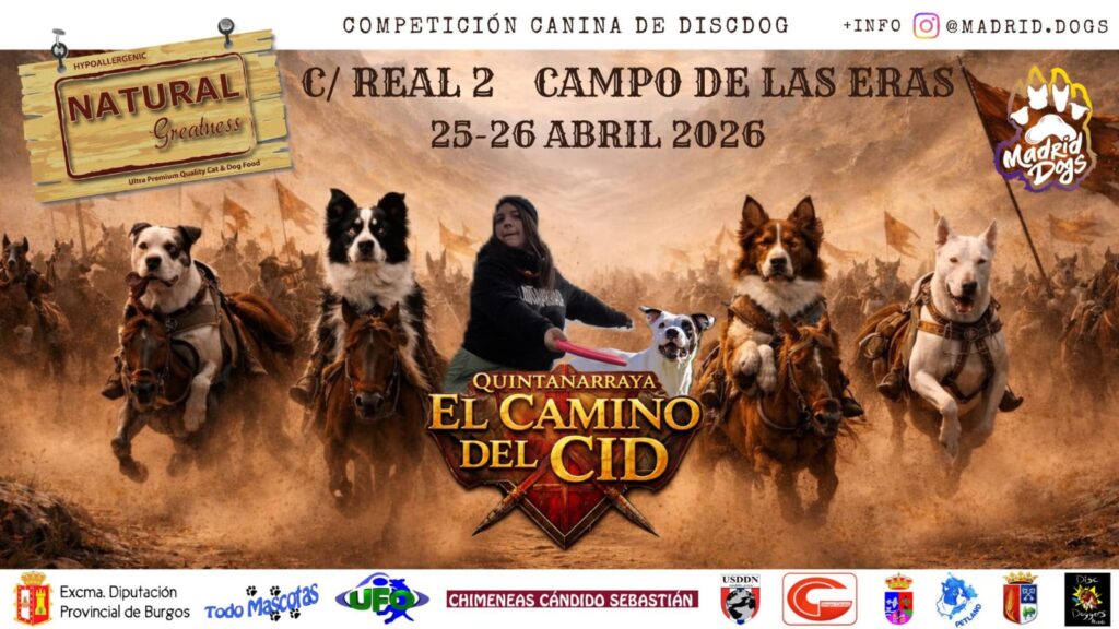 Campeonato de discdog en Quintanarraya